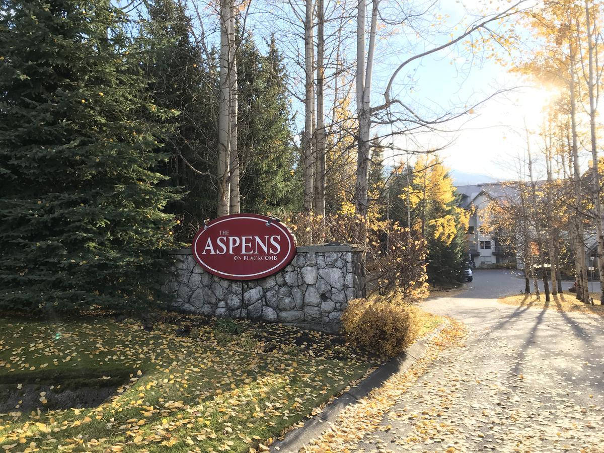The Best Top Floor Ski-In/Ski-Out At The Aspens Whistler Buitenkant foto